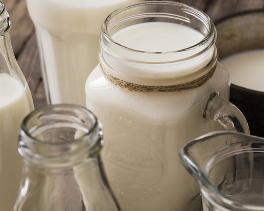 leche vegana hecha en casa