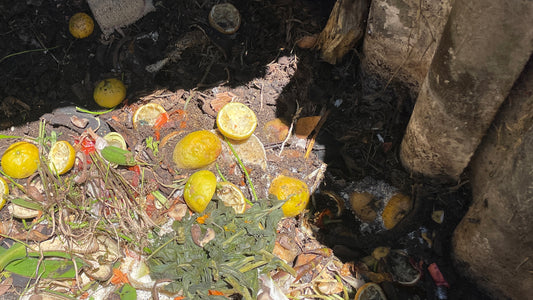 compost casero