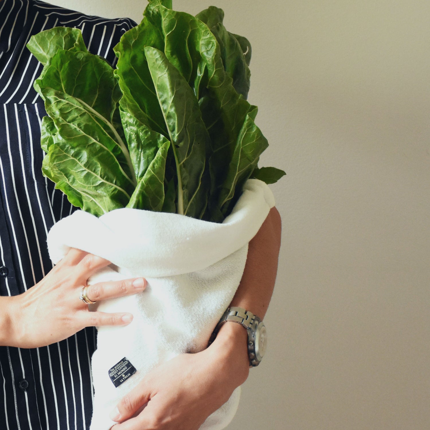 conservar verduras frescas