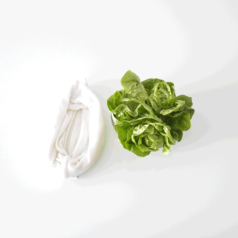 Mantén tu lechuga batavia, morada,romana, crespa, rugula, espinaca bay, col de bruselas y todas tus hortalizas favoritas frescas y crujientes por más tiempo con nuestras fundas reutilizables.