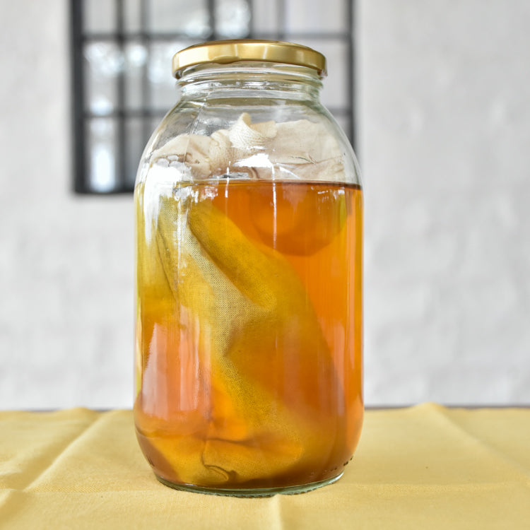 Filtro de tela para Cold Brew casero