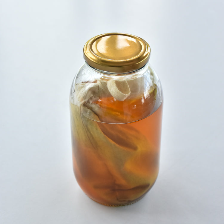 Filtro de tela para Cold Brew casero