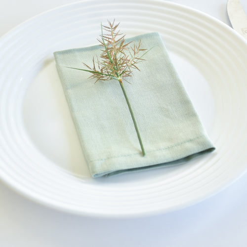 Crea recuerdos inolvidables alrededor de una mesa elegante con nuestras servilletas de lino